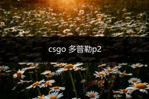 csgo 多普勒p2