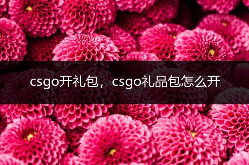 csgo开礼包，csgo礼品包怎么开