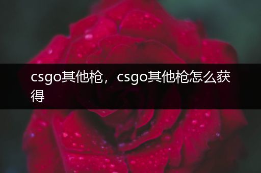 csgo其他枪，csgo其他枪怎么获得