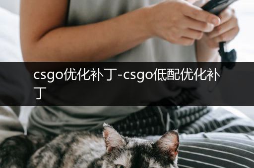 csgo优化补丁-csgo低配优化补丁