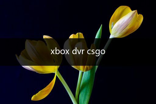 xbox dvr csgo