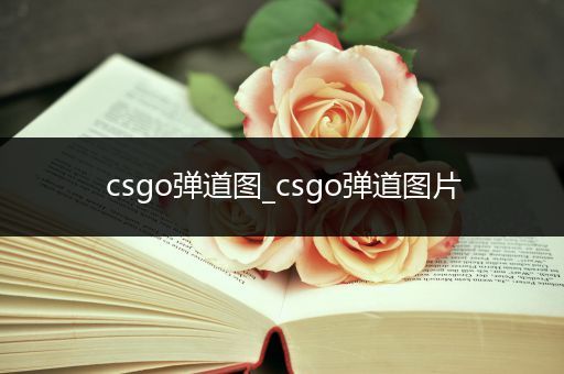 csgo弹道图_csgo弹道图片