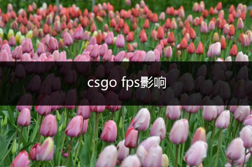 csgo fps影响