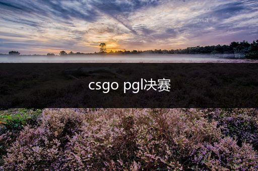 csgo pgl决赛