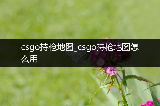 csgo持枪地图_csgo持枪地图怎么用