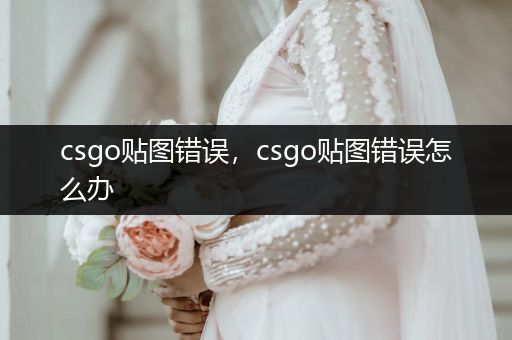 csgo贴图错误，csgo贴图错误怎么办