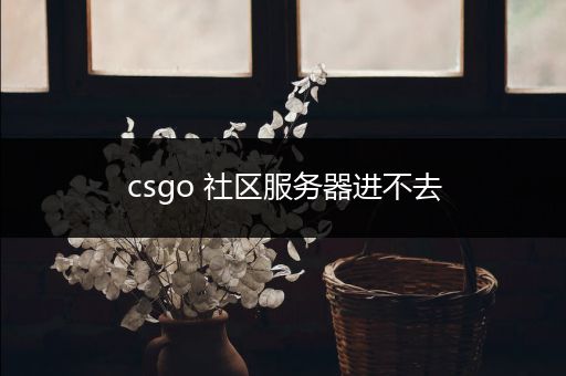 csgo 社区服务器进不去