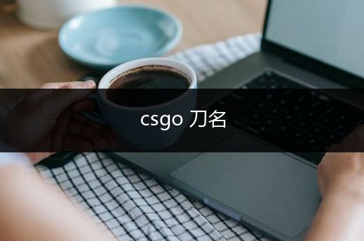 csgo 刀名