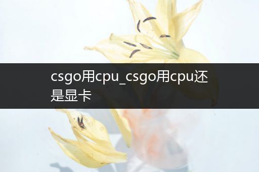 csgo用cpu_csgo用cpu还是显卡