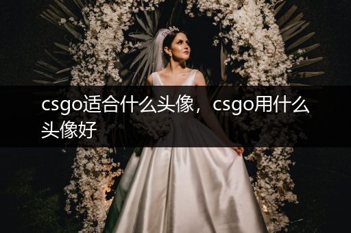 csgo适合什么头像，csgo用什么头像好