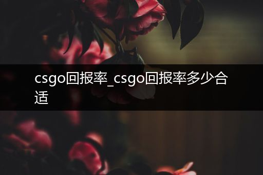 csgo回报率_csgo回报率多少合适