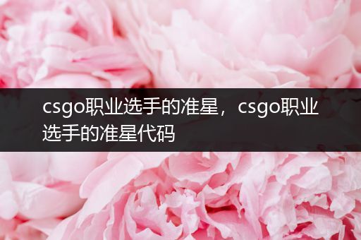 csgo职业选手的准星，csgo职业选手的准星代码