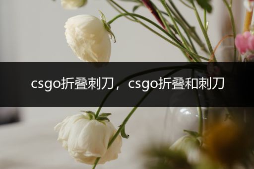 csgo折叠刺刀，csgo折叠和刺刀