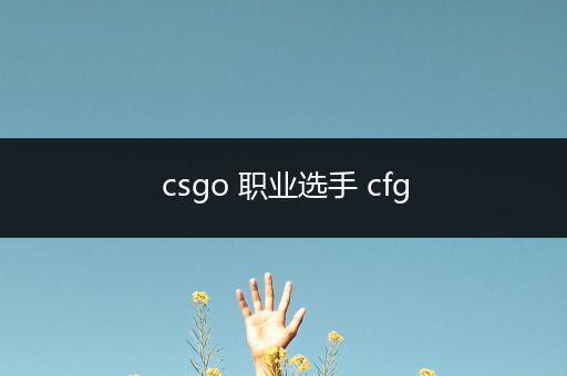 csgo 职业选手 cfg