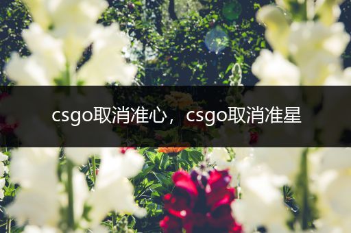 csgo取消准心，csgo取消准星