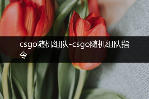 csgo随机组队-csgo随机组队指令