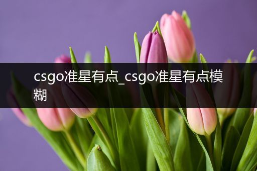 csgo准星有点_csgo准星有点模糊