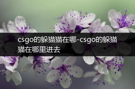 csgo的躲猫猫在哪-csgo的躲猫猫在哪里进去