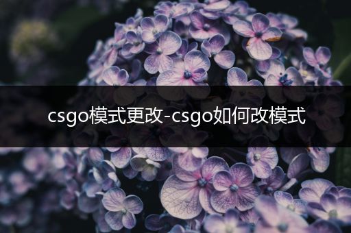 csgo模式更改-csgo如何改模式