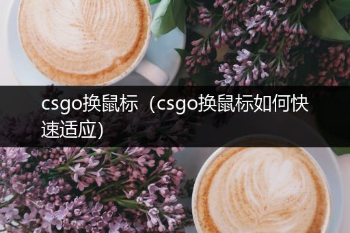 csgo换鼠标（csgo换鼠标如何快速适应）