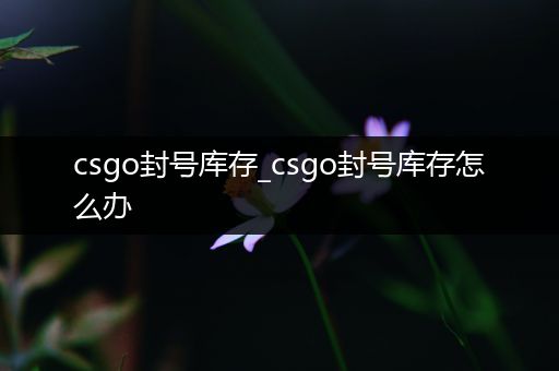 csgo封号库存_csgo封号库存怎么办