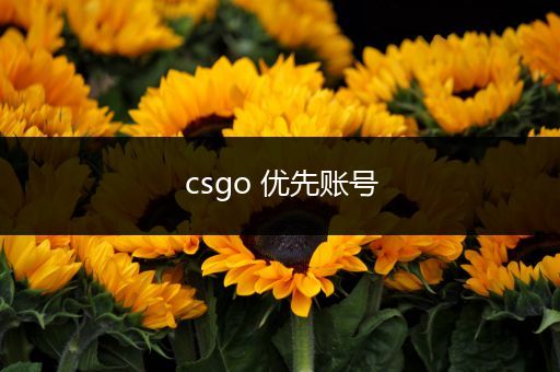 csgo 优先账号