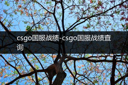 csgo国服战绩-csgo国服战绩查询