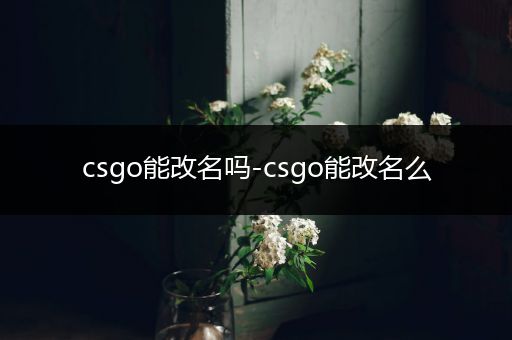 csgo能改名吗-csgo能改名么