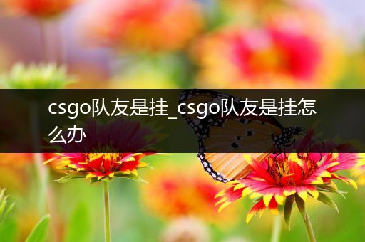 csgo队友是挂_csgo队友是挂怎么办