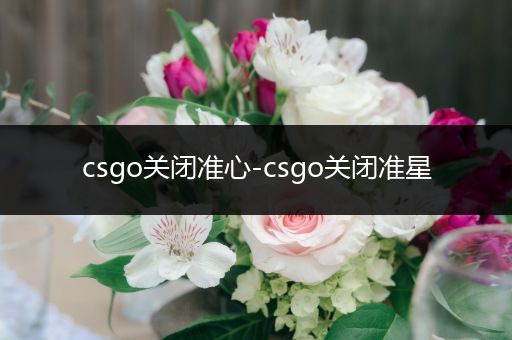 csgo关闭准心-csgo关闭准星