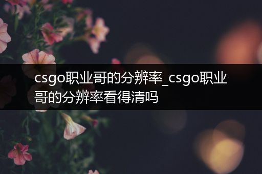 csgo职业哥的分辨率_csgo职业哥的分辨率看得清吗