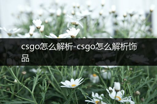 csgo怎么解析-csgo怎么解析饰品