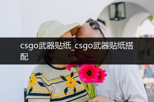 csgo武器贴纸_csgo武器贴纸搭配