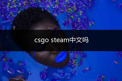 csgo steam中文吗