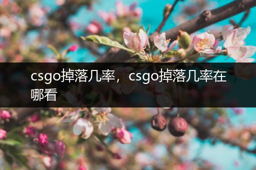 csgo掉落几率，csgo掉落几率在哪看