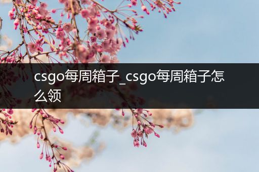 csgo每周箱子_csgo每周箱子怎么领