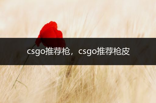 csgo推荐枪，csgo推荐枪皮