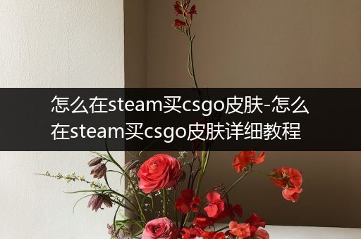 怎么在steam买csgo皮肤-怎么在steam买csgo皮肤详细教程