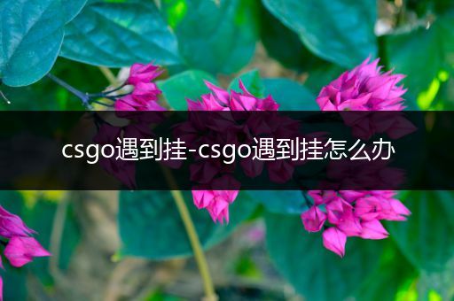 csgo遇到挂-csgo遇到挂怎么办