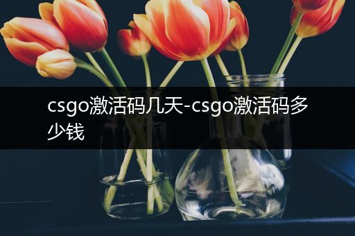 csgo激活码几天-csgo激活码多少钱