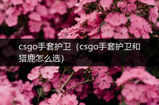 csgo手套护卫（csgo手套护卫和猎鹿怎么选）