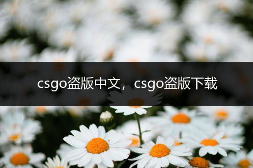 csgo盗版中文，csgo盗版下载