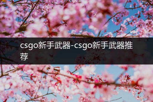 csgo新手武器-csgo新手武器推荐