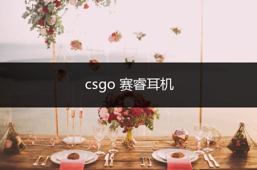 csgo 赛睿耳机