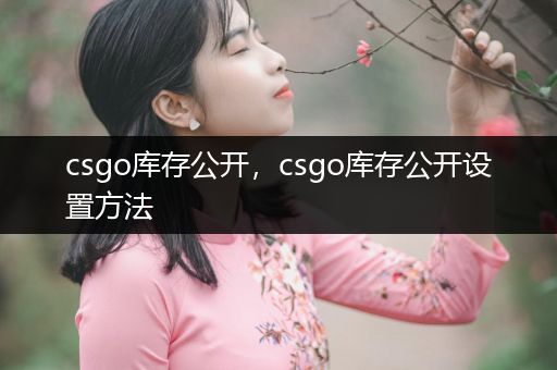 csgo库存公开，csgo库存公开设置方法