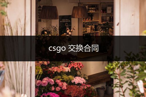 csgo 交换合同