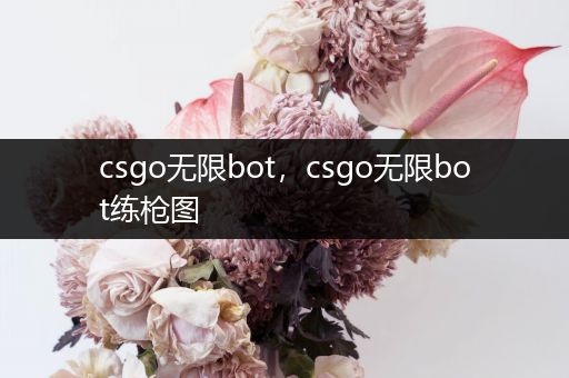 csgo无限bot，csgo无限bot练枪图