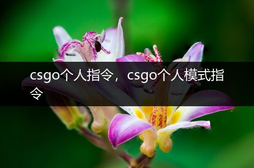 csgo个人指令，csgo个人模式指令