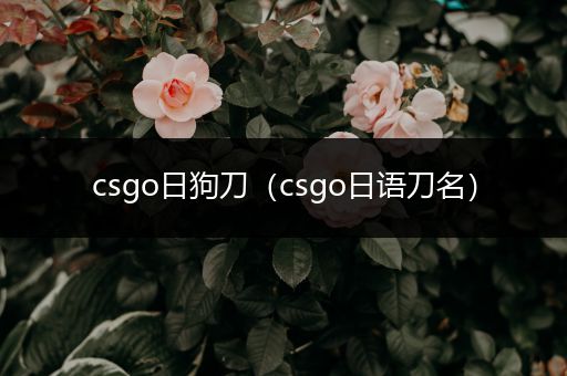 csgo日狗刀（csgo日语刀名）