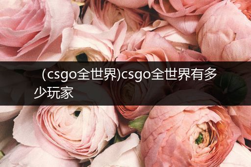 （csgo全世界)csgo全世界有多少玩家